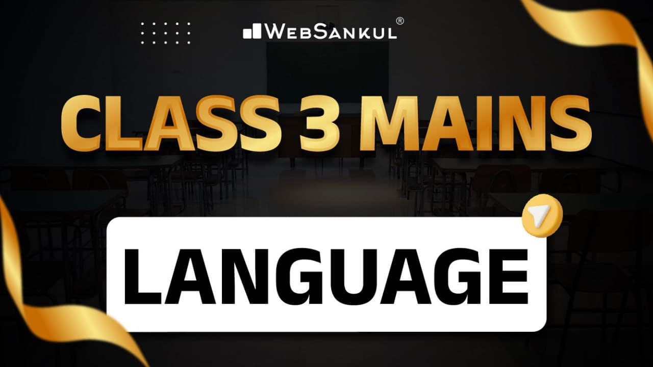 Class 3 Mains Language
